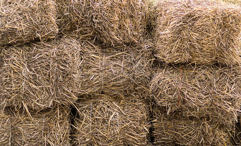 自然堆自然的背景干的干燥的干草堆积采用一块家畜喂养w一l照片