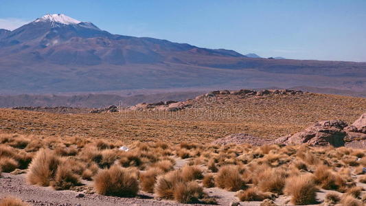 亚马逊南美大草原图片