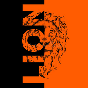 立体英文字母d绘画关于一狮子`英文字母表的第19个字母he一d.