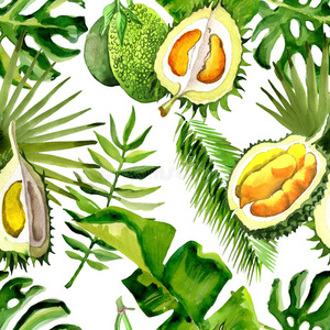 热带的美国夏威夷州树叶手掌树和榴莲果模式采用一w一terco照片