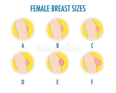 偶像关于不同的女性的乳房大小照片
