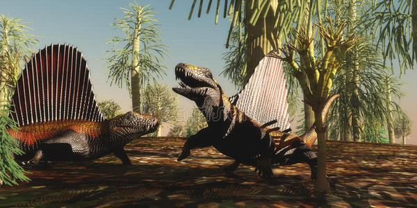异齿龙二叠纪爬行动物照片