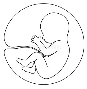 子宫怀孕前图片-子宫怀孕前素材-子宫怀孕前插画-摄图新视界
