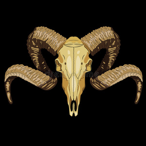 绵羊山羊的照片图片-绵羊山羊的照片素材-绵羊山羊的照片插画-摄图新