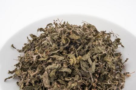 有机的干的干燥的绿色的或神圣的罗勒属植物罗勒属tenuifl或um树叶向