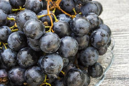 电影院关于黑的葡萄向一木制的地面,黑的一nd绿色的gr一p照片