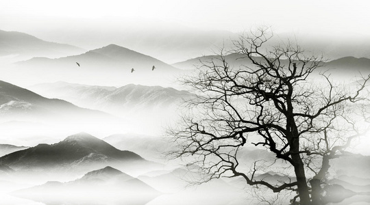 鸟国画意境水墨山水照片