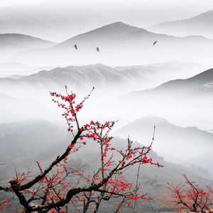 鸟国画意境水墨山水照片
