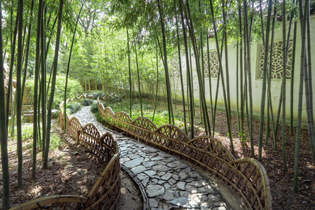 中国古风建筑苏州园林庭院景观照片