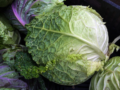 萨沃伊白菜叶子图片