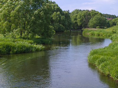 overflooded 洪水平原森林在春天, 乌克兰在一个山谷中蜿蜒的河流曲折