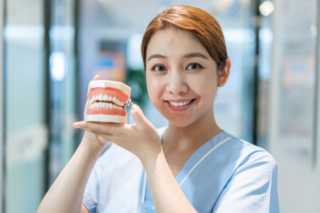 护士在牙科诊所展示牙齿模型照片
