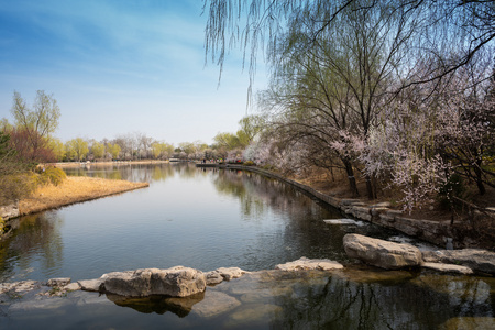 北京植物园