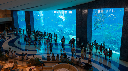 亚特兰蒂斯水族馆亚特兰蒂斯酒店水族馆照片