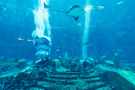 亚特兰蒂斯酒店水族馆