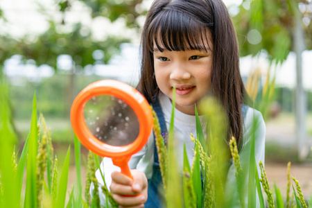 孩子观察植物图片