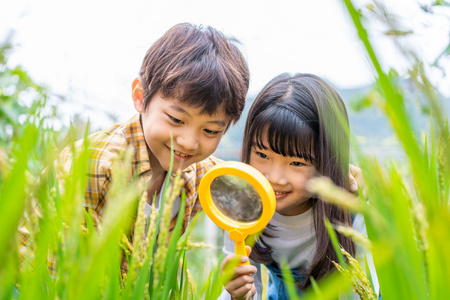 小朋友站着小朋友拿着放大镜观察植物照片