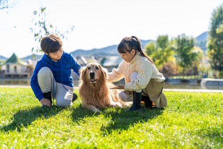 草地人狗玩耍图片