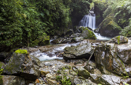 四川峨眉四川峨眉山清音阁溪流照片