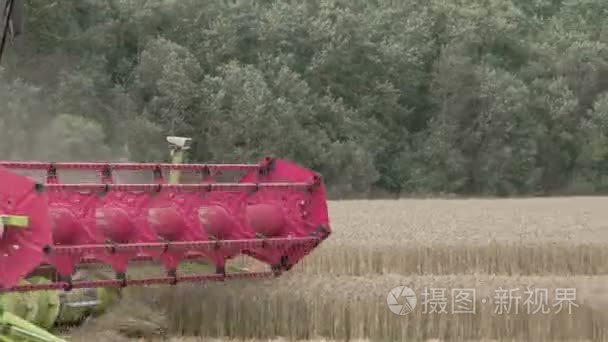 小麦收割机收割庄稼在球场上视频