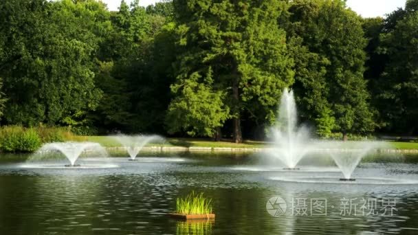 公园与喷泉在夏日时光视频