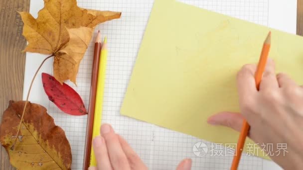 在纸箱纸上绘画枫叶视频