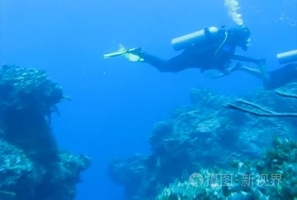 潜水员在加勒比海视频