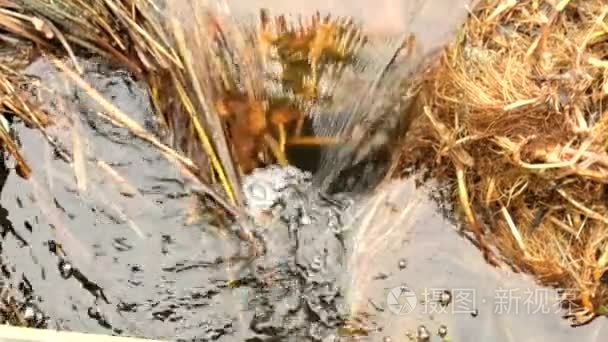 在脏水中的漩涡。泡沫的流之间老草秆，难闻的气味水流入