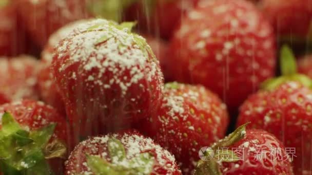 在草莓上撒粉糖视频