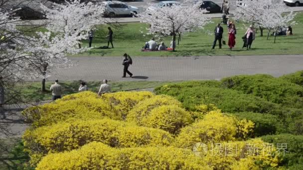 游客和市民; 老年人享受日本樱花绽放