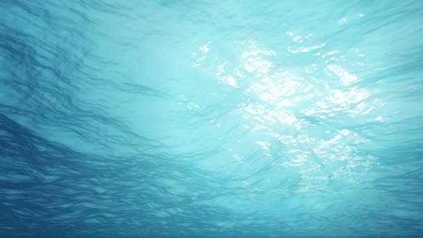阳光照耀在水面与水下场景短视频
