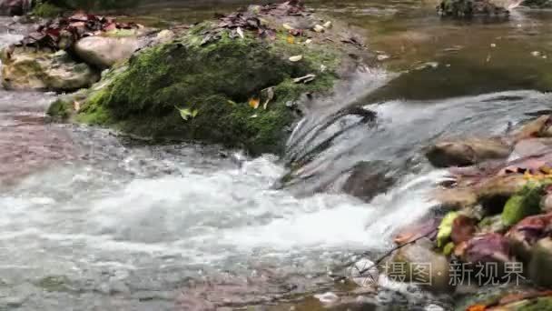 在秋天的新鲜河梯级视频