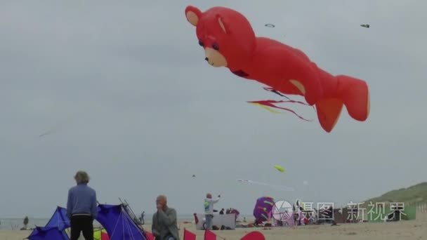 在此次竞赛中的最佳风筝的人视频