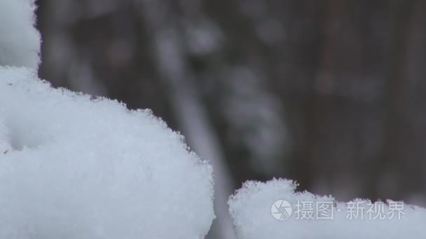 乐队在降雪雪覆盖着雪花视频