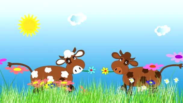 搞笑牛跳舞和绿色的草地上放牧视频