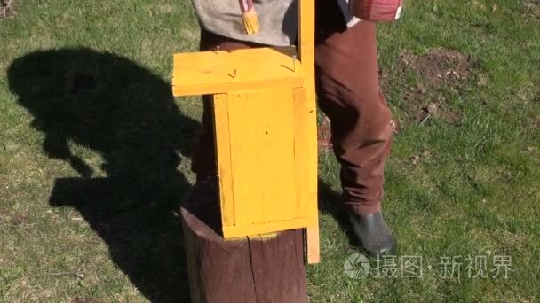 在黄色的木制小鸟房子嵌套框画视频