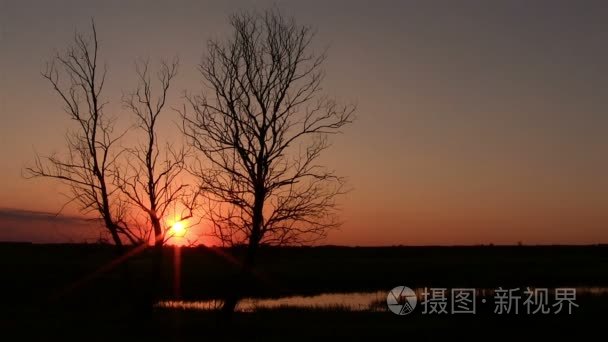 在日落风景与天空和树木