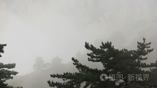 有雾大气中式露台视频