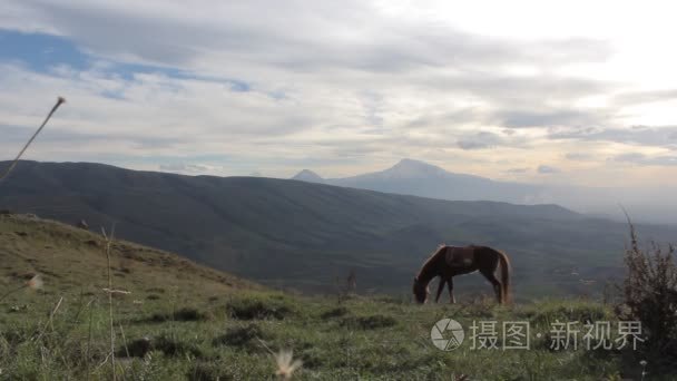 马在山视频