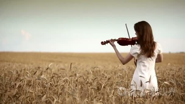 小提琴在麦田的姑娘演奏小提琴视频