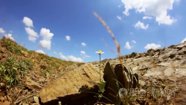 老岩石高原游戏中时光倒流视频