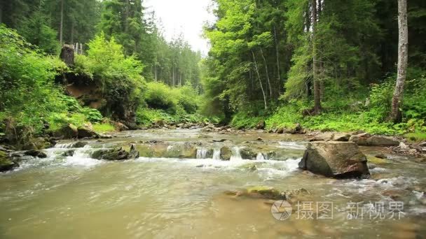 小山河与绿色木材和石头视频