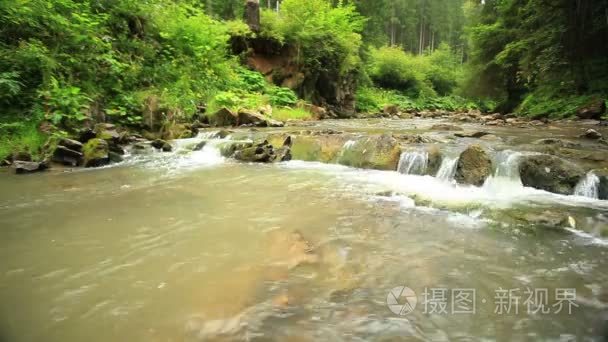 在山间溪流和小瀑布水流视频