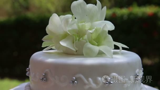 兰花花结婚蛋糕视频