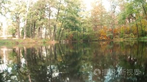 美丽的秋景与池塘视频
