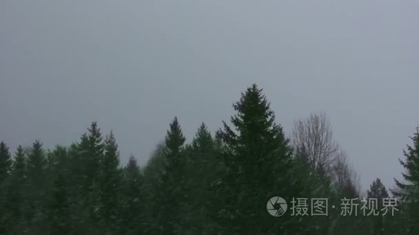 雪和暴雪视频