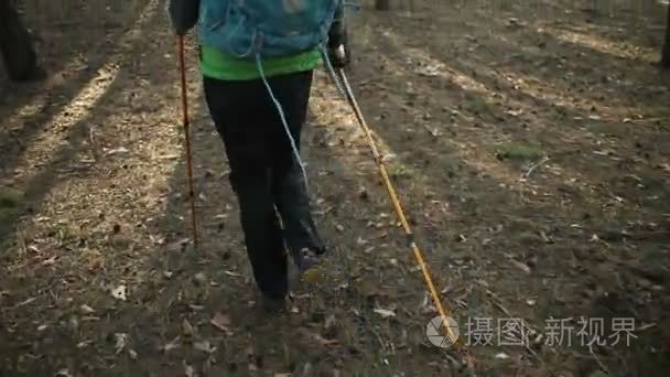 徒步旅行者女人走在森林的背包和登山杖徒步旅行。开枪的替身