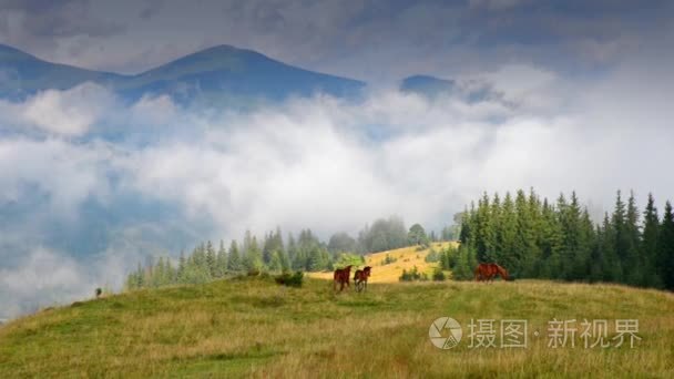 在山的高山风景视频