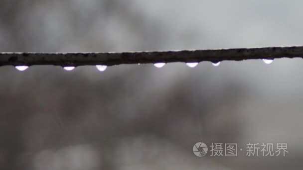 在雨中滴落的水滴视频