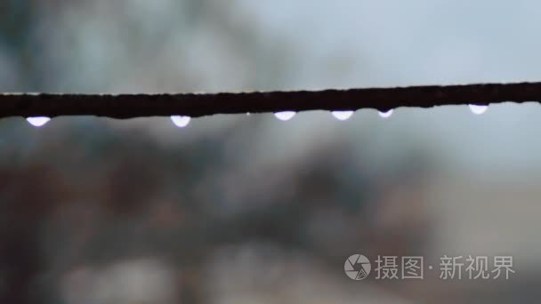 在雨中滴落的水滴视频